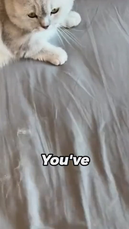 4 In 1 Multifunctional Hair Removal Brush Pet Dog Cat Hair Cleaner Brush Cat Hair Remover Window Screen Cleaning Tool Gadgets